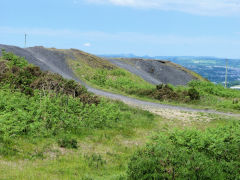 Wyllie Colliery tips, June 2011